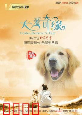 犬爱奇缘：生死相依的温暖