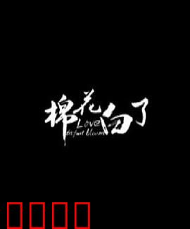 棉花白了：丰收的喜悦