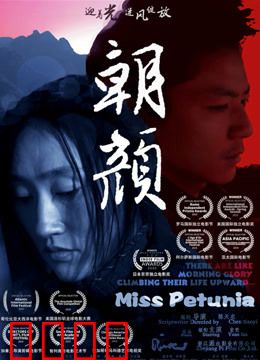 朝颜：绽放的梦想