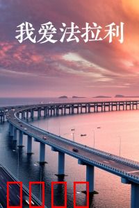 我爱法拉利：速度与痴迷