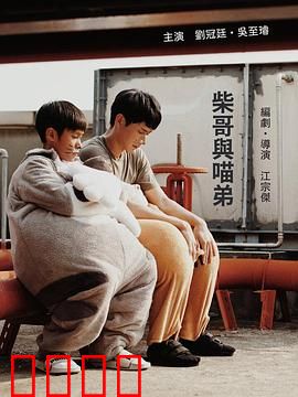 柴哥与喵弟：森林奇缘