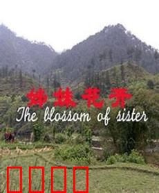 姊妹花开：姐妹同心