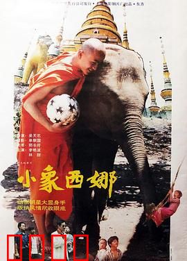 小象西娜：爱与成长之路