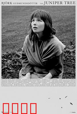 女巫恋人：跨越种族的爱