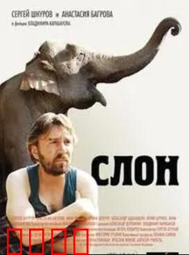 大象菩提：智者的蜕变