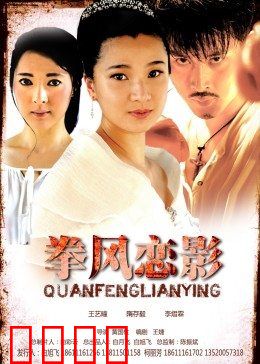 拳风恋影：爱在铁拳之下