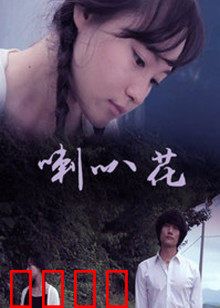 牵牛花：绽放的生命