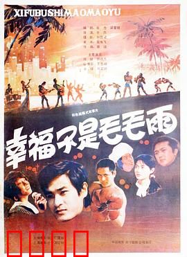 幸福不是毛毛雨：小人物的大幸福