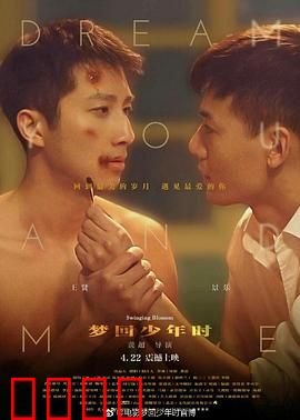 梦回少年时：重返青春之旅