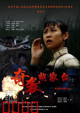 奇袭胡家台：猛虎掏心