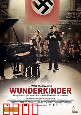 爱乐风雨情：梦想与爱情的协奏曲