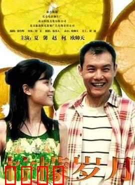 柠檬岁月：青春酸甜之旅