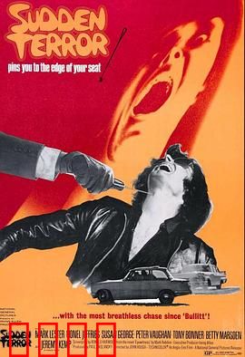 小英雄与大刺客：联手破阴谋