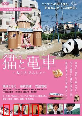 猫与电车：暖心邂逅