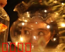 樓上樓下：邻里的战争