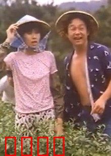 小美我爱你：跨越时空的宿命