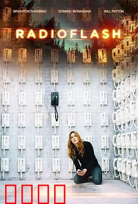 电磁脉冲：致命沉默