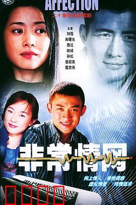 非常情网：虚拟恋曲