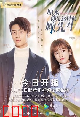 原来你是这样的顾先生：霸总追妻甜到炸