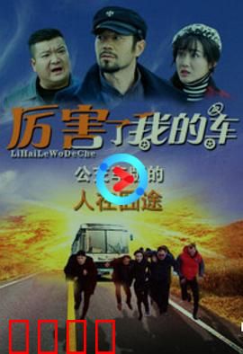 厉害了我的车：笑点与泪点齐飞