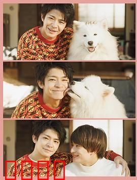 爱你汪汪：忠诚守护一生