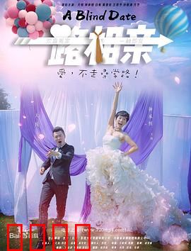 一路相亲：悲剧相亲记