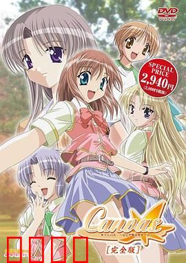 Canvas ～茶色的主题～：青春艺术之恋