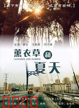 薰衣草和夏天：浪漫约定