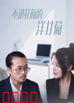 不进花瓶的洋甘菊：自由绽放之路