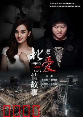 北漂爱情故事2016：爱与梦的双行线