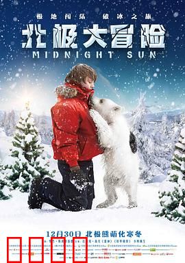 北极大冒险：冰原救赎