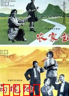 农家宝：一部农村励志传奇