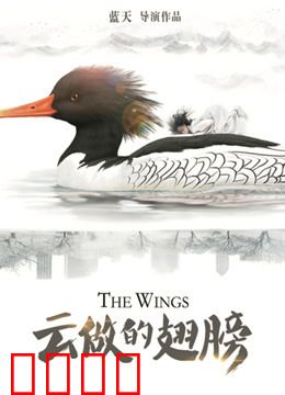 云做的翅膀：追梦天空