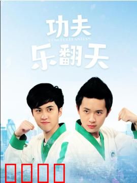 功夫乐翻天：菜鸟逆袭记