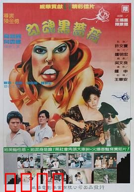 勾魂黑蔷薇：诅咒之花