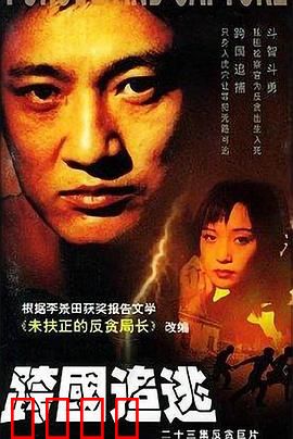 跨国追逃：正义之网