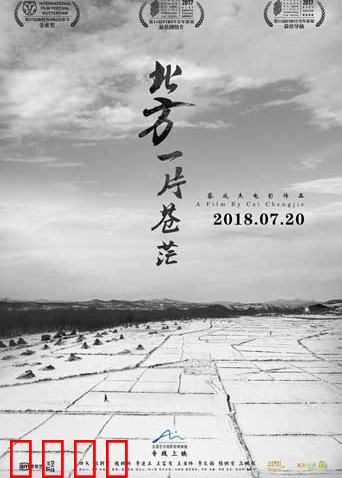 北方一片苍茫：农村寡妇的奇幻悲剧