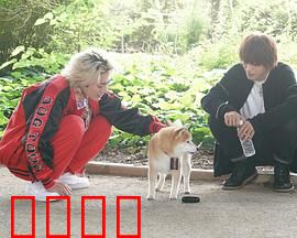 难破MG5特别篇：热血家族之战