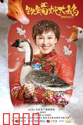 我来自北京之铁锅炖大鹅：乡村创业逆袭