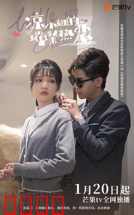 凉小姐的璀璨热恋：闪婚总裁追妻路