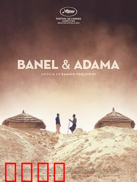 贝内尔和阿达玛：传统与现代的碰撞