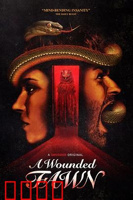 受伤的小鹿：治愈心灵之旅