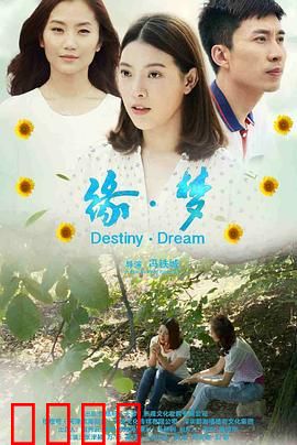 缘·梦：爱与记忆的轮回