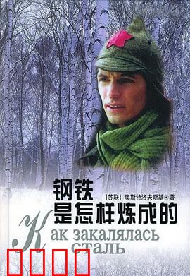 钢铁是怎样炼成的：少年英雄炼成记