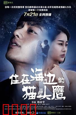 住在海边的猫头鹰：治愈孤独的守望