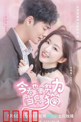 今天也要努力当只猫：喵生逆袭