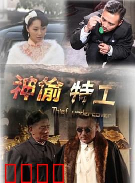 神偷特工：终极窃密