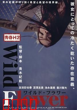 青春H2之狂野之花：叛逆少女的救赎