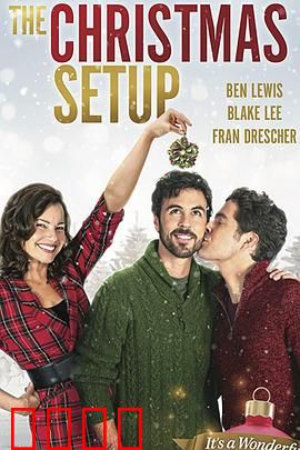 圣诞速配：假日爱情奇迹