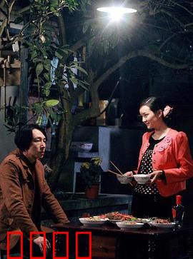 鲜花盛开的村庄：农村变革记